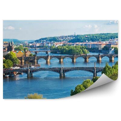 Fototapeta samoprzylepna Republika czeska architektura rośliny