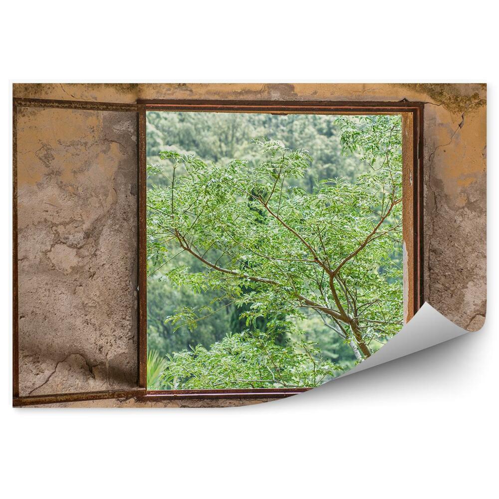Fototapeta Stary dom z małym okienkiem na las zieleń drzewo
