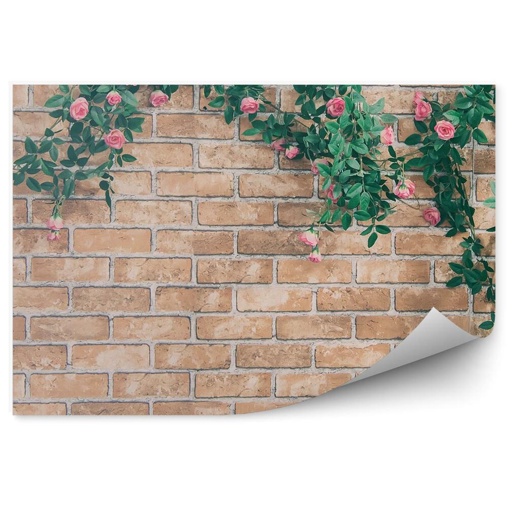 Fototapeta samoprzylepna Ceglany mur i krzewy róż