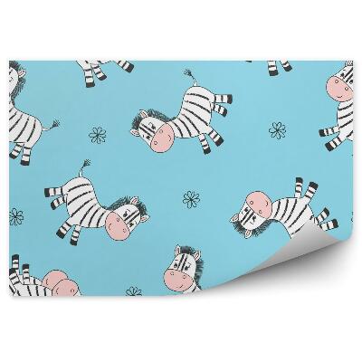 Fototapeta Zebry na niebieskim tle