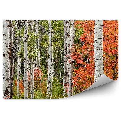 Fototapeta na ścianę Jesienny krajobraz w liściastym lesie