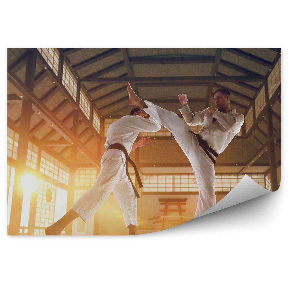 Fototapeta samoprzylepna Karate trening japonia