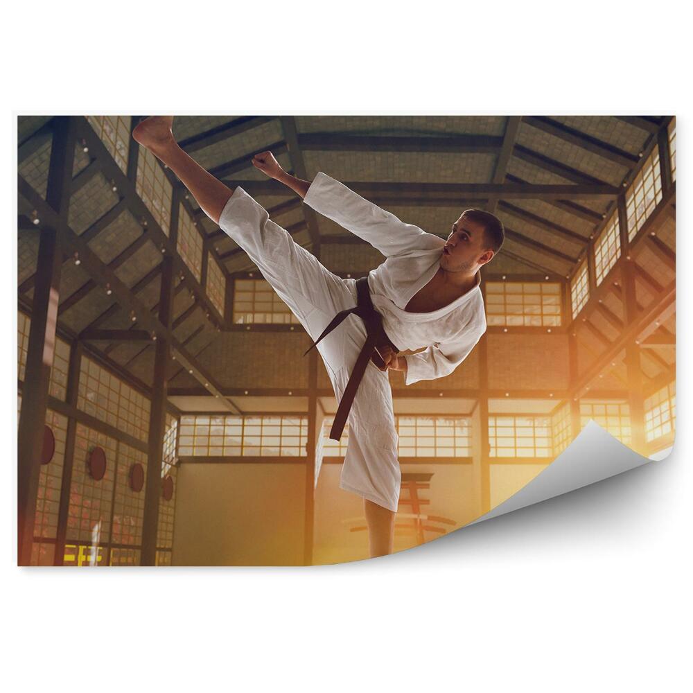 Fototapeta samoprzylepna Karate trening japonia