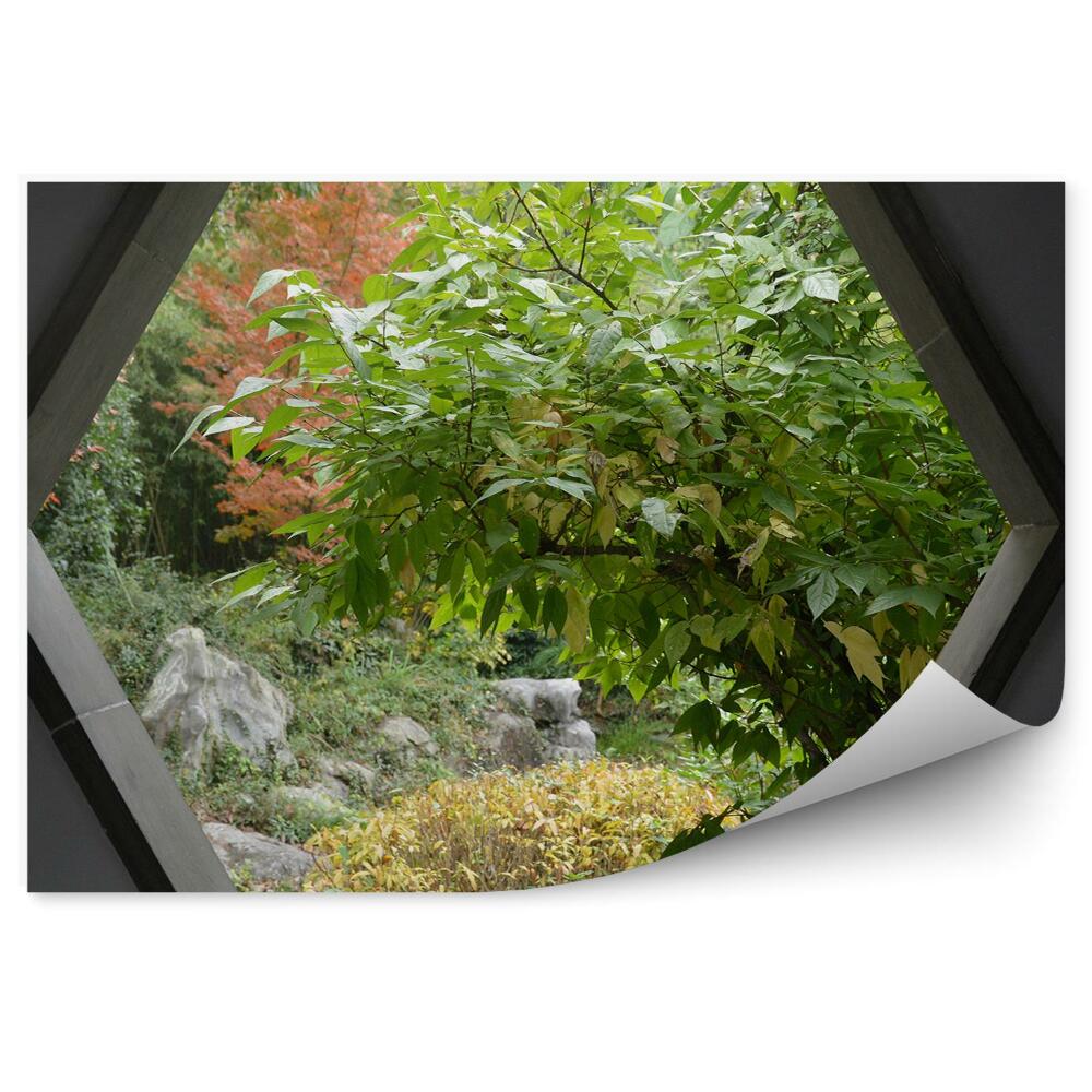 Fototapeta na ścianę Okno w betonowej ścianie drzewa zieleń ogród