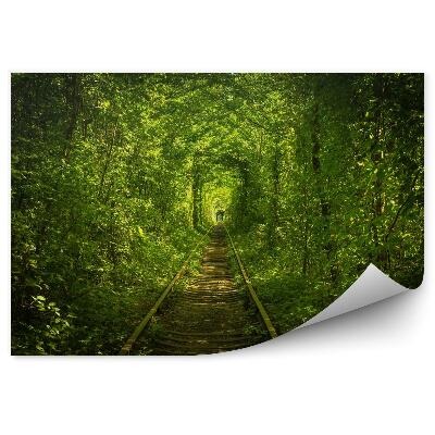 Fototapeta Stary las i kolejowy tunel