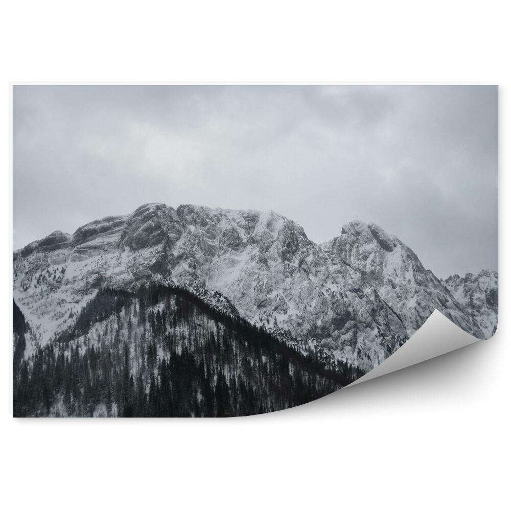 Okleina na ścianę Góry szczyty las choinki śnieg giewont