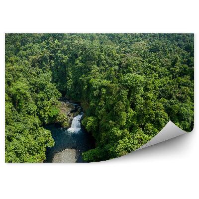 Fototapeta Las rzeka natura przyroda