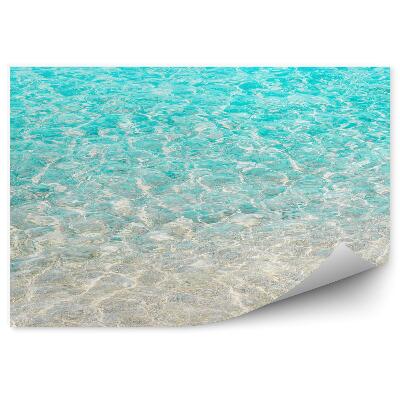 Fototapeta Przejrzyste morze woda