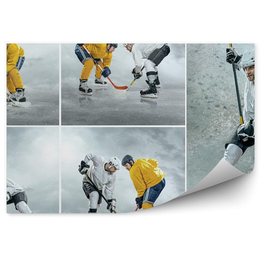 Fototapeta samoprzylepna Kolaż zawodnicy mecz hokeja na lodzie