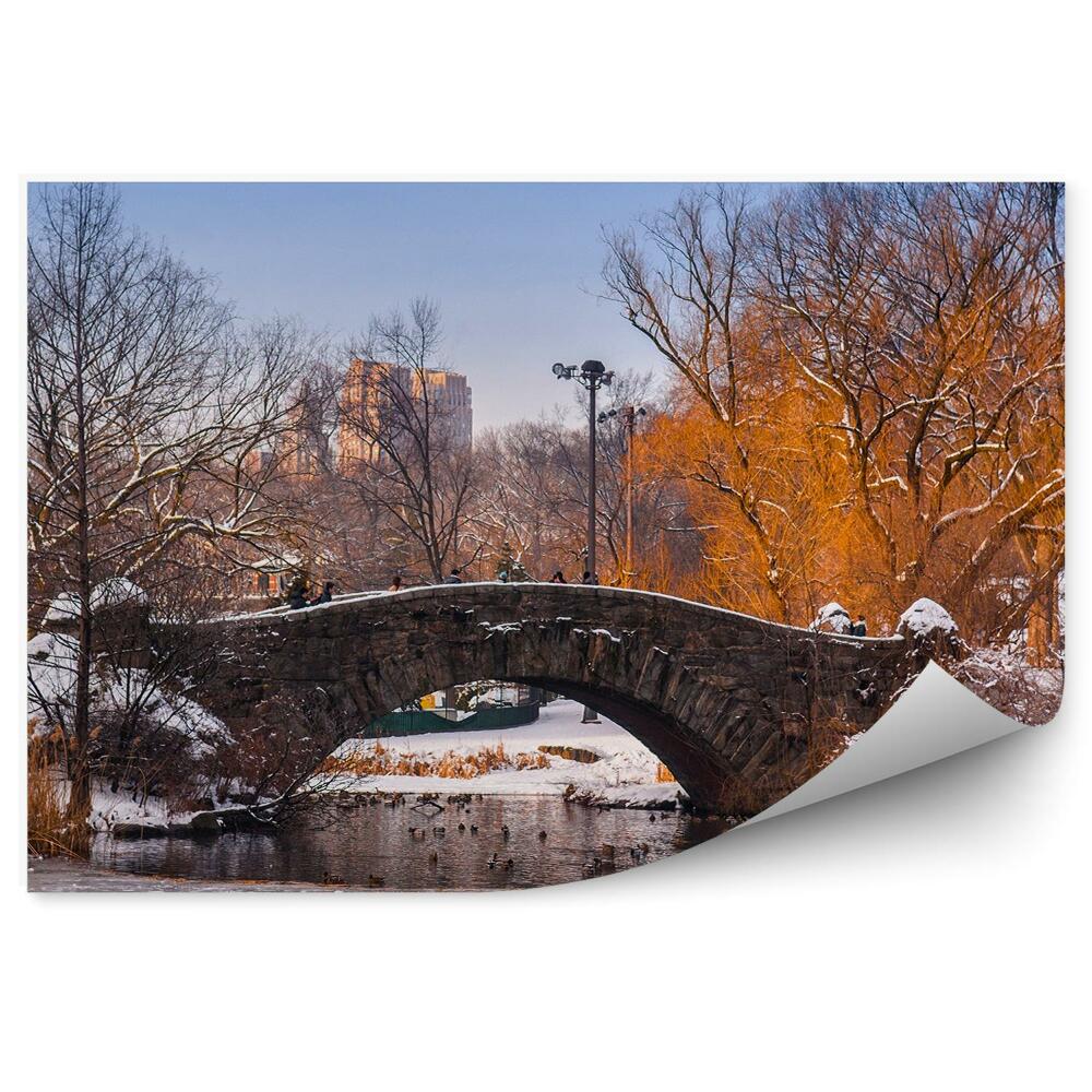 Fototapeta Central Park most kaczki drzewa wieżowce Nowym Jorku zima śnieg