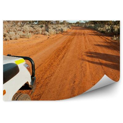 Okleina na ścianę Droga piasek natura roślinność safari