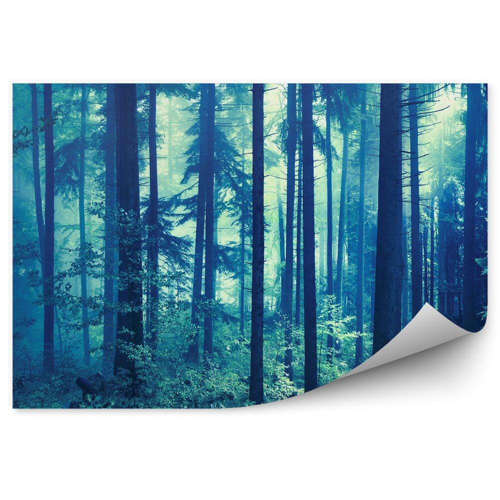 Okleina ścienna Niebieski las iglasty