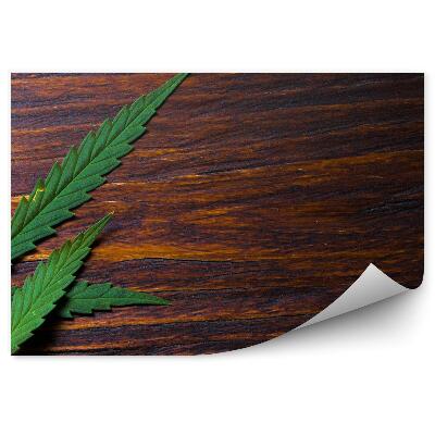 Fototapeta samoprzylepna Liści konopi na drewnianej podłodze