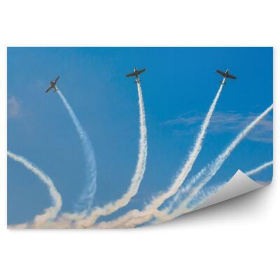 Fotopeta Samoloty sportowe na pokazach lotniczych
