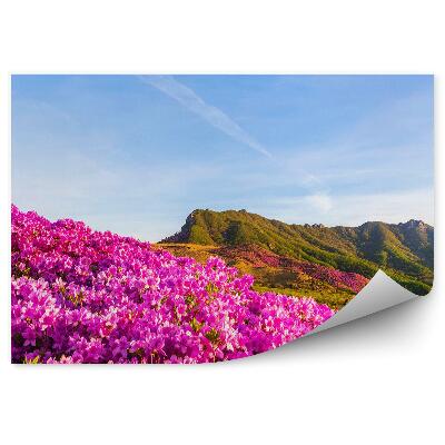 Okleina ścienna Góry i krzewy azalii