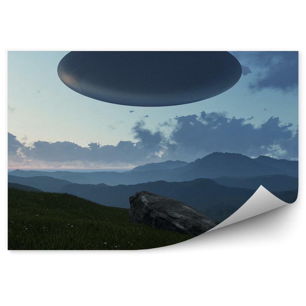 Fototapeta 3d ufo trawa kwiaty góry skały niebo