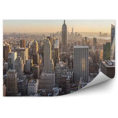 Fototapeta Manhattan wieżowce widok z lotu ptaka Nowy Jork