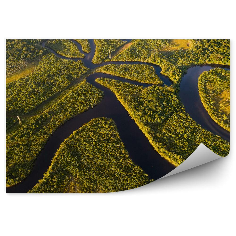 Okleina na ścianę widok Amazonii z lotu ptaka