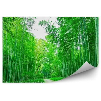 Okleina ścienna Ścieżka w lesie bambusowym latarnia