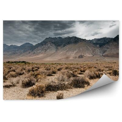 Okleina ścienna Ciemne chmury góry natury plaża niebo chmury dolina śmierci