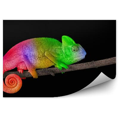 Okleina ścienna Jaskrawo kolorowy kameleon