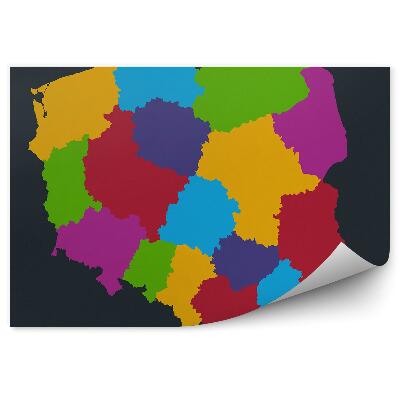 Fototapeta na ścianę Kolorowa mapa polski województwa