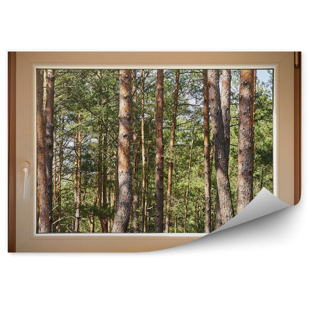 Fototapeta na ścianę Widok na las drewniany dom okno