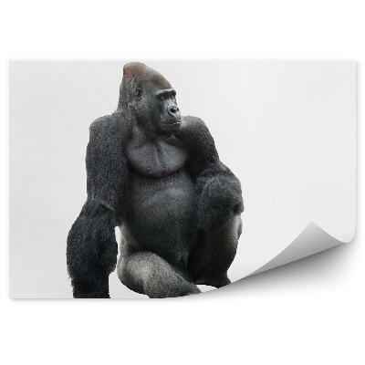 Okleina ścienna Siedzący goryl na białym tle
