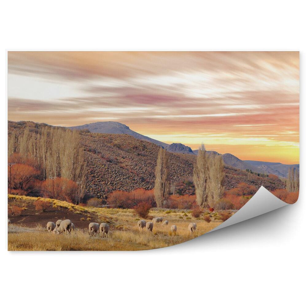 Fototapeta Stado owiec drzewa rośliny góry jesień zachód słońca