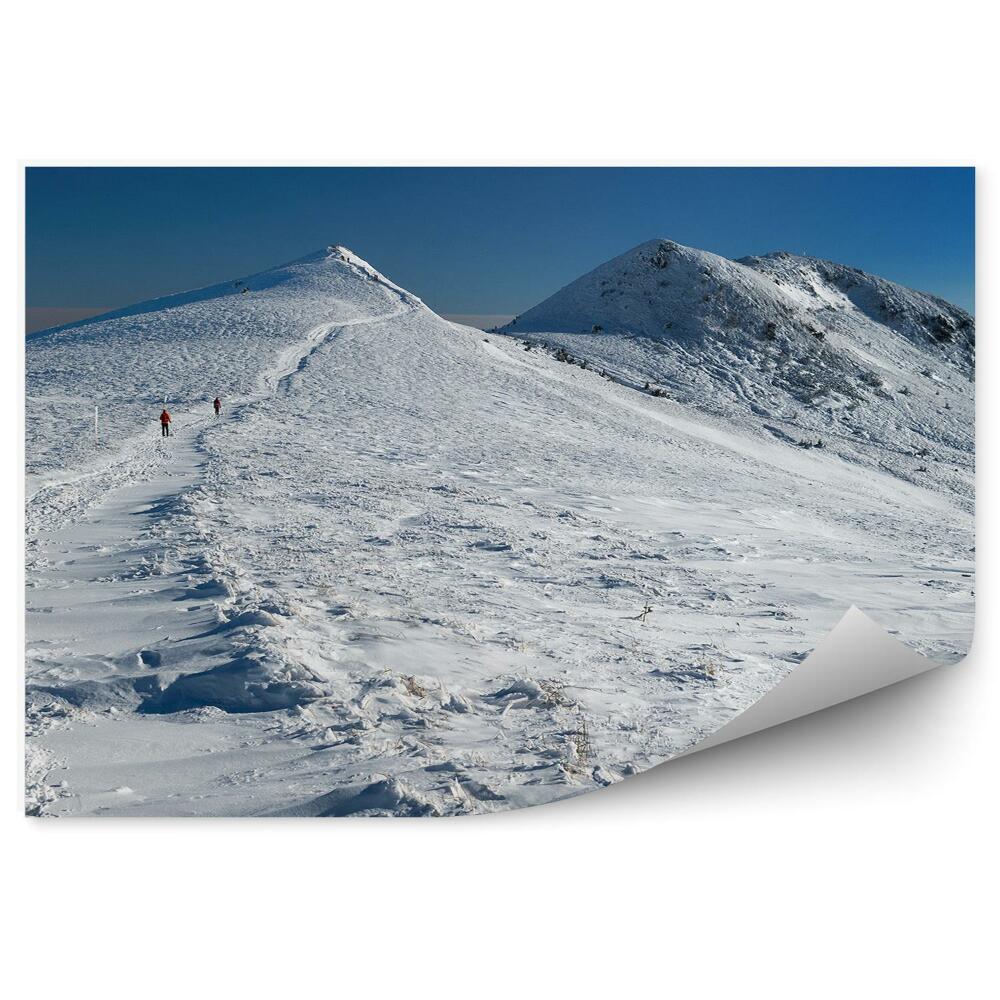 Okleina na ścianę Zimowa ścieżka górska krajobraz