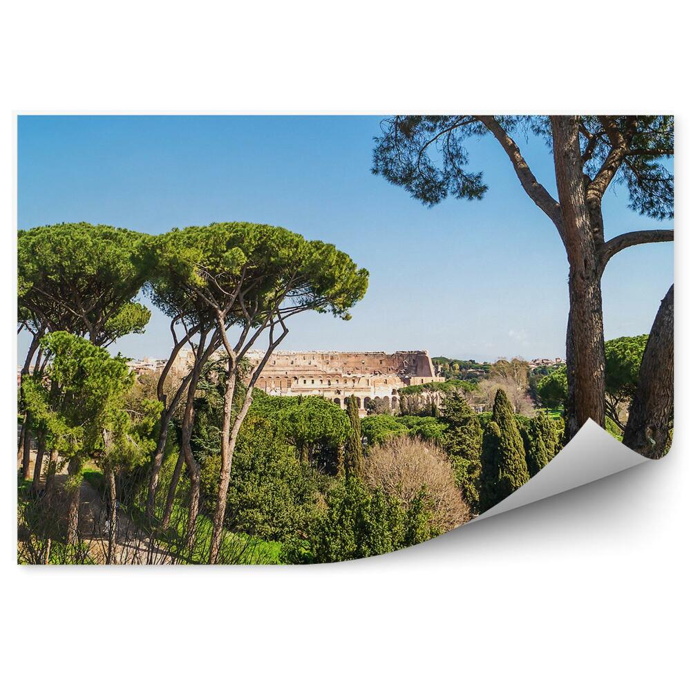 Fototapeta na ścianę Widok Koloseum drzewa zieleń niebo Rzym Włochy alejka