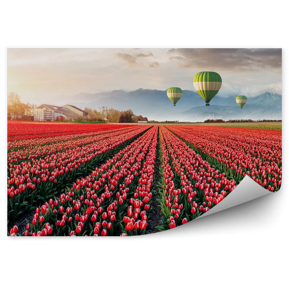 Fototapeta na ścianę Piękne pole czerwonych tulipanów niebo chmury balony góry