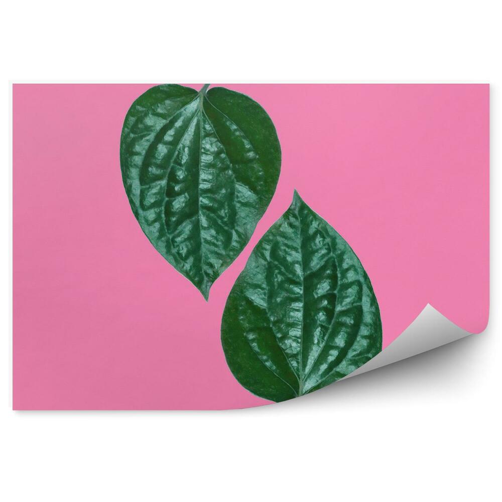 Fototapeta Tropikalny zielony liść na różowym tle