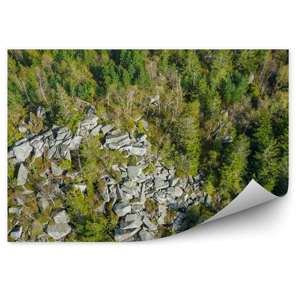 Fototapeta Widok z góry na las skały góry w sudetach