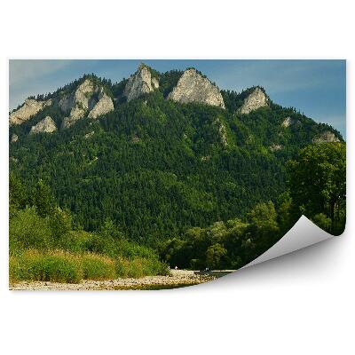 Okleina na ścianę Panorama z widokiem na trzy korony pieniny