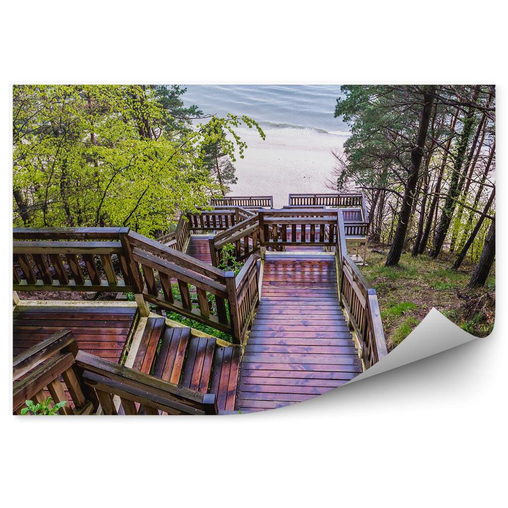 Fototapeta samoprzylepna Drewniane schody przy plaży drzewa woda