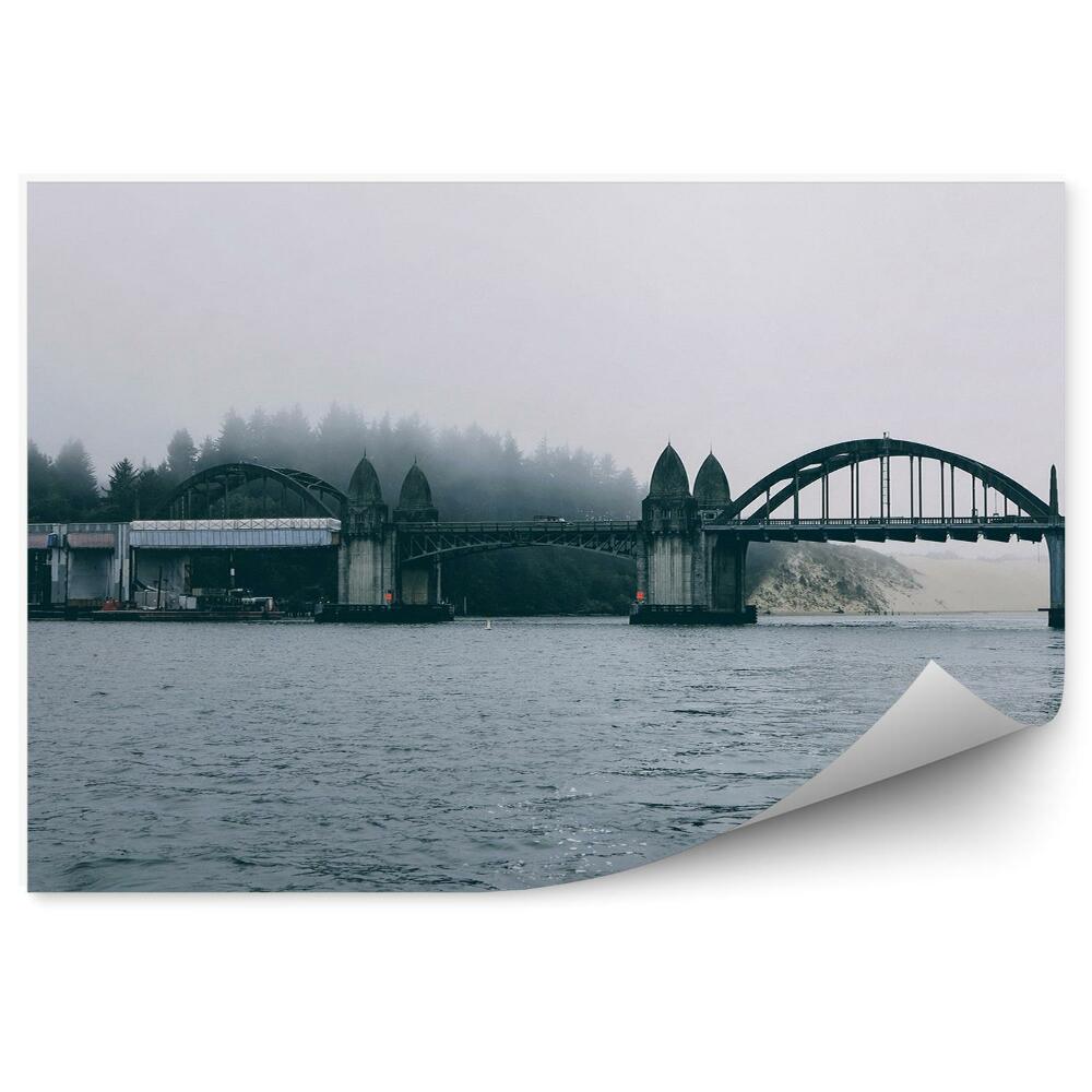 Fototapeta na ścianę most drzewa rzeka mgła Florencja