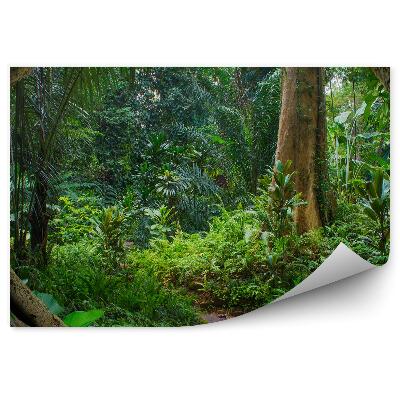 Okleina ścienna Azjatycka dżungla paprocie konary drzew