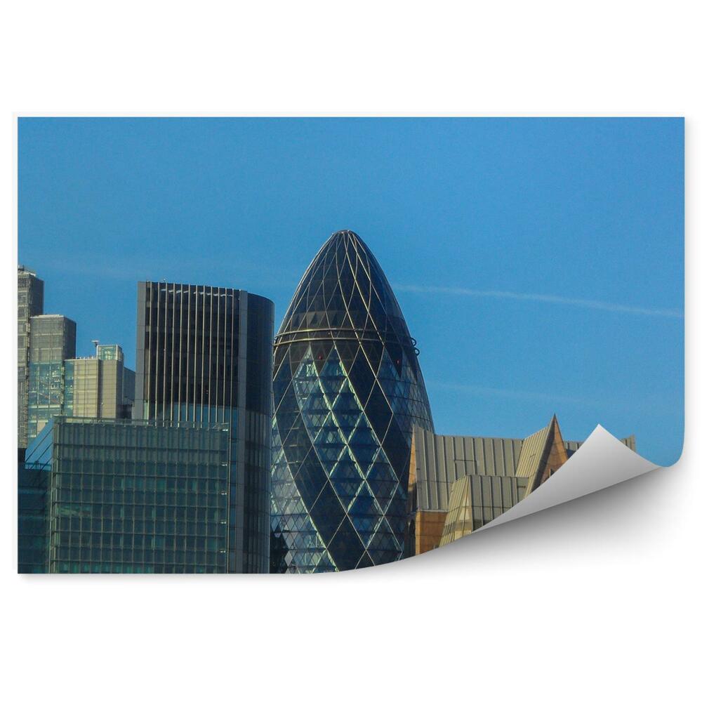 Fototapeta panorama miasta Londyn