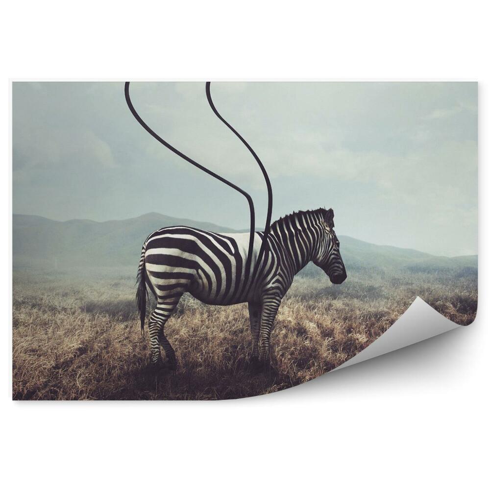 Fototapeta Zebra i pasy