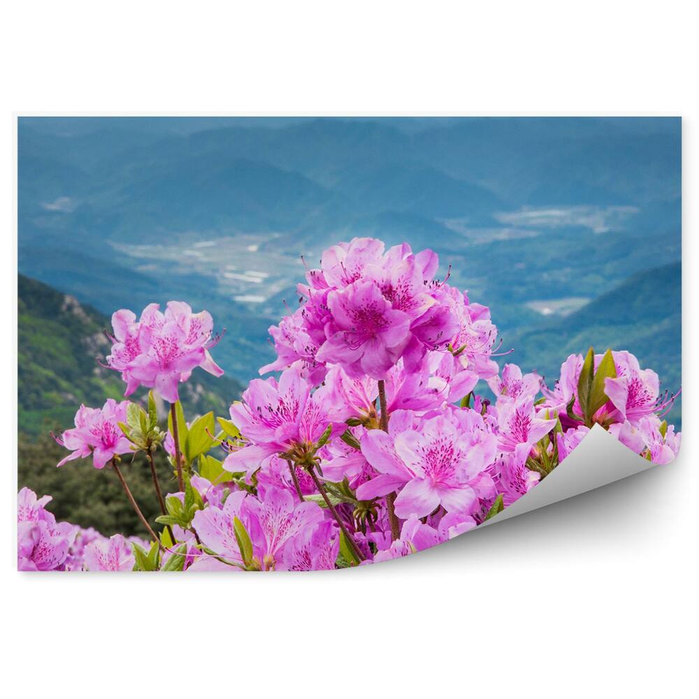 Okleina ścienna Kwiat rododendronu na tle górskiego krajobrazu