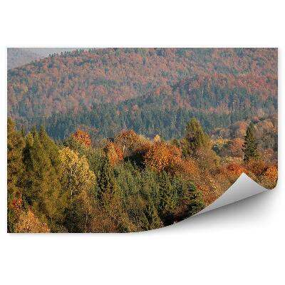 Okleina na ścianę Jesienne lasy drzewa widok z lotu ptaka