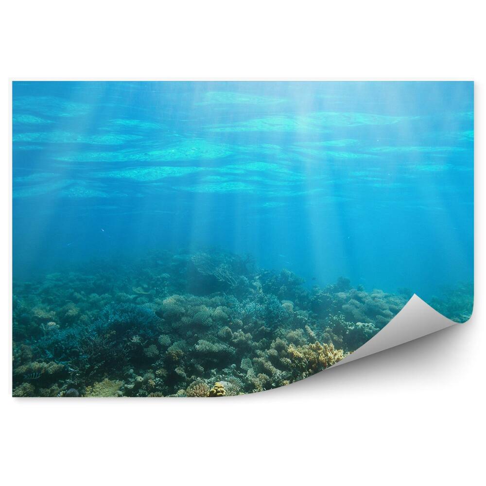 Okleina ścienna Podwodna rafa koralowa blask promienie słońca