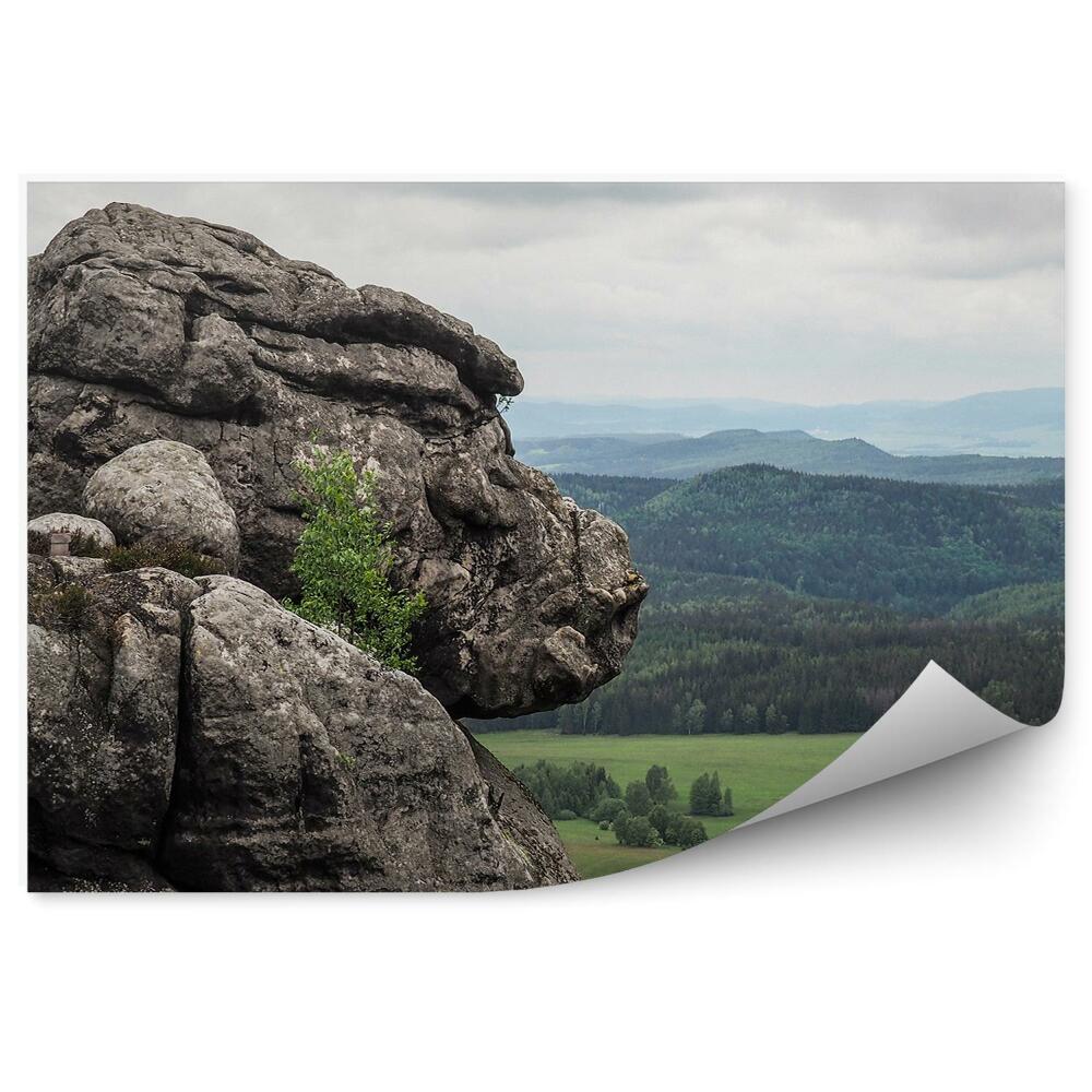 Fototapeta Góra skały widok na polany lasy pochmurne niebo
