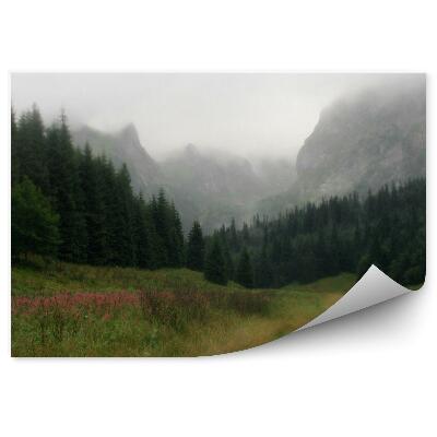Okleina ścienna Góry drzewa iglaste trawa kwiaty droga poranna mgła