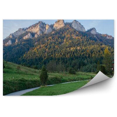 Okleina na ścianę Szlak w pieninach trzy korony