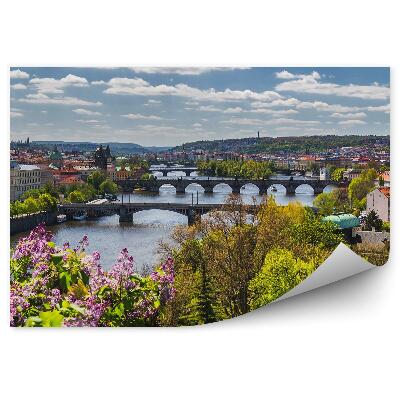 Okleina ścienna Panorama miasta z lotu ptaka kwiaty krzewy