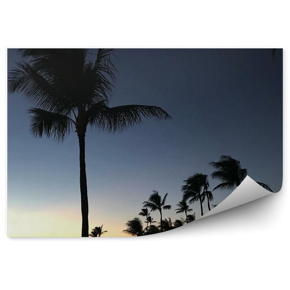 Fototapeta zachód słońca palmy ocean Hawaje