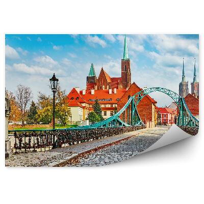 Fototapeta Ostrów Tumski Wrocław most kłódki katedra rzeźby chodnik noc