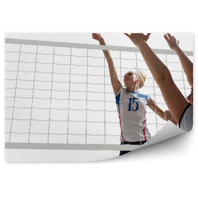 Fototapeta samoprzylepna Siatkarki piłka siatka